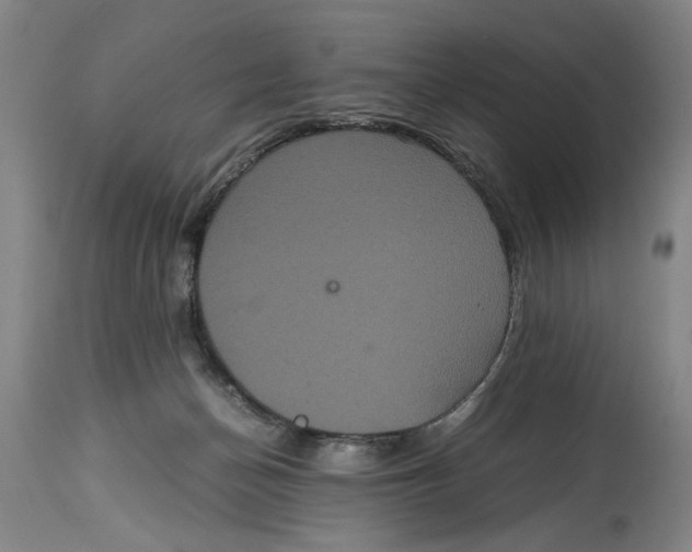 X0000114620174200911171106