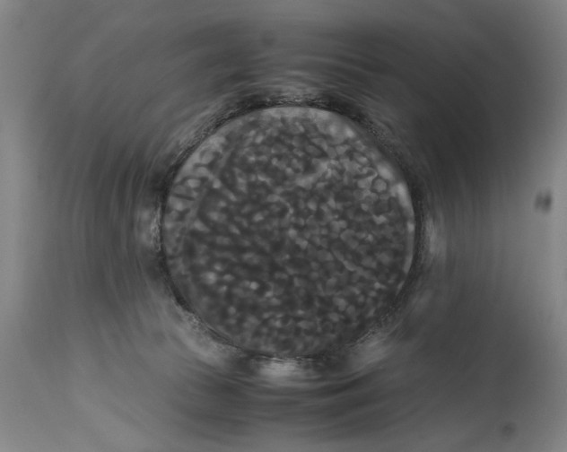 X0000114620177200911171106