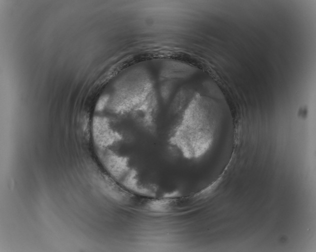 X0000114620178200911171106