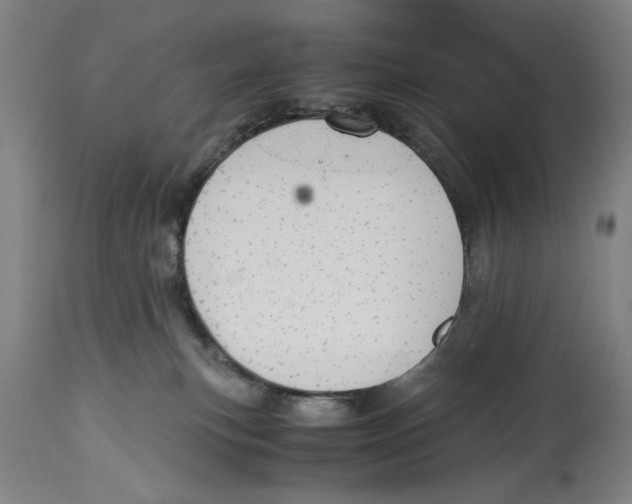 X0000114620183200911171106