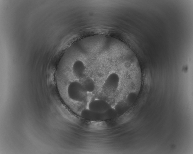 X0000114620185200911171106