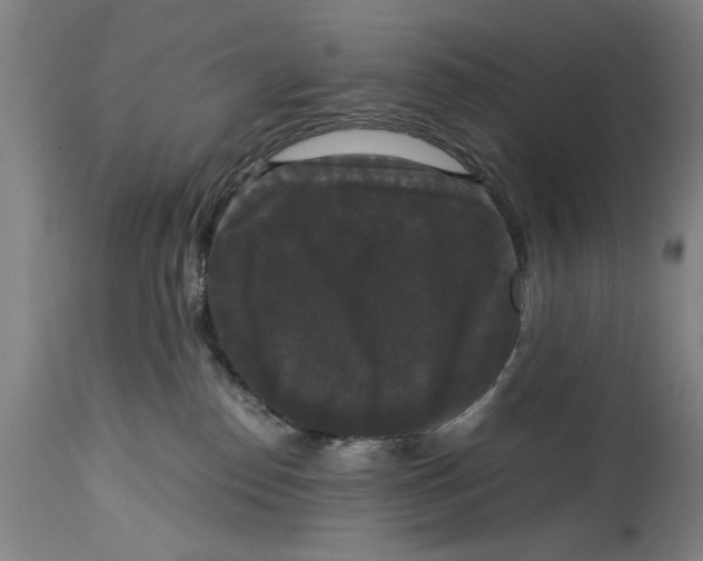 X0000114620186200911171106