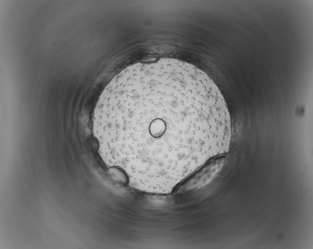 X0000114620187200911171106