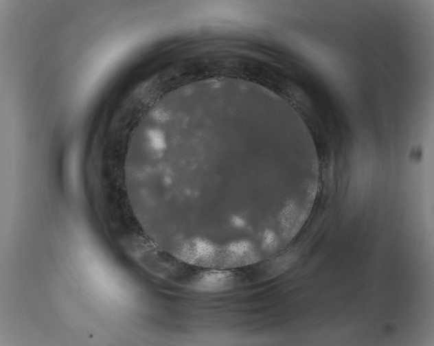 X0000114620189200911171106