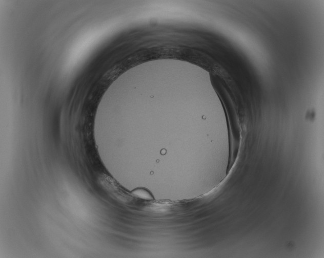 X0000114620190200911171106