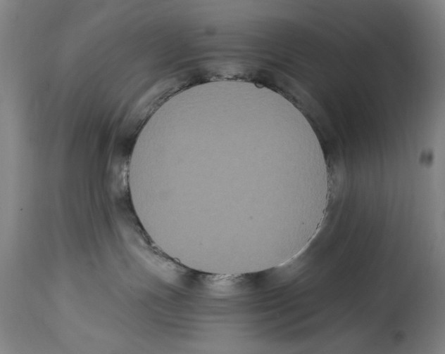 X0000114620191200911171106