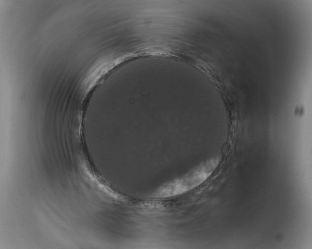 X0000114620194200911171105