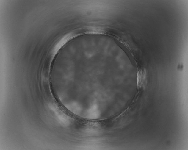 X0000114620195200911171105