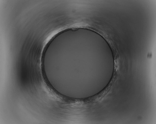 X0000114620196200911171105