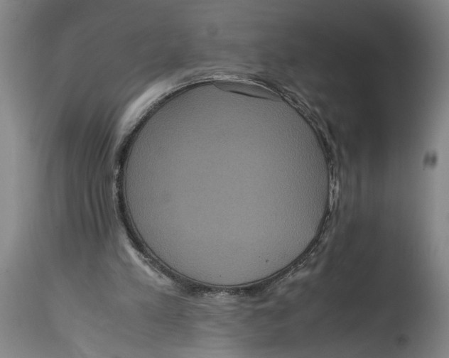 X0000114620197200911171105