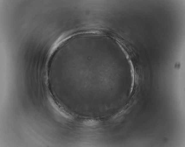 X0000114620198200911171105