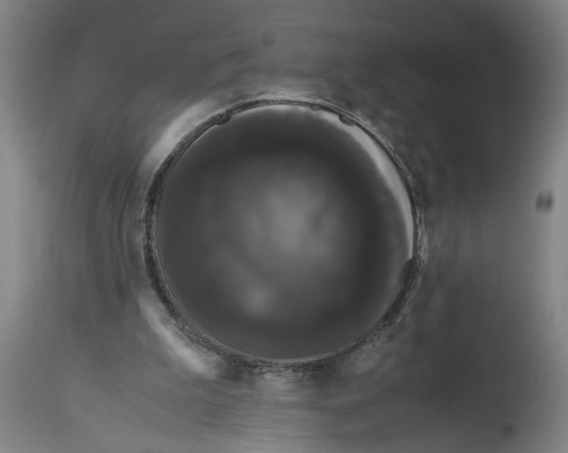 X0000114620199200911171105