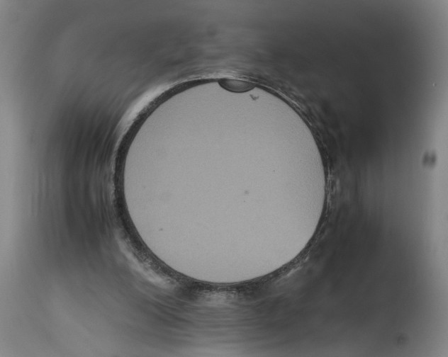 X0000114620200200911171105