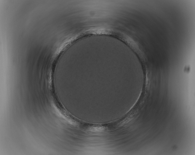 X0000114620202200911171105