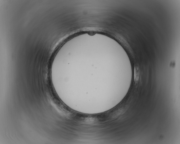 X0000114620204200911171105