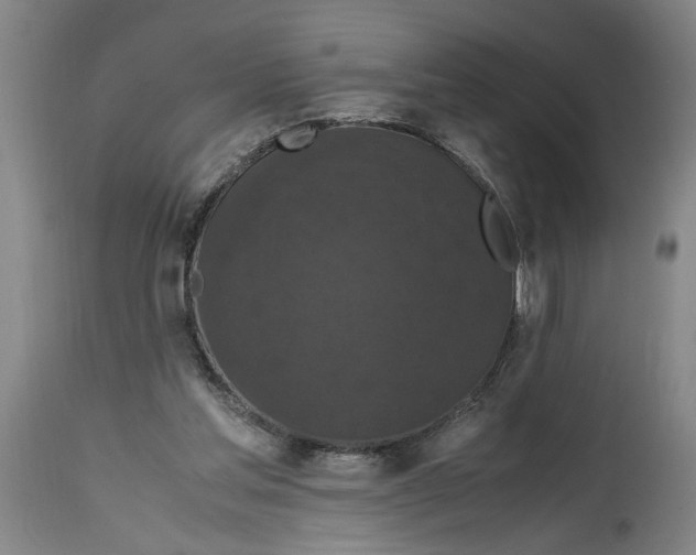 X0000114620205200911171105