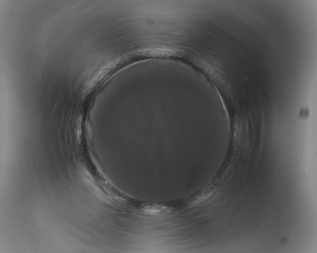 X0000114620206200911171105