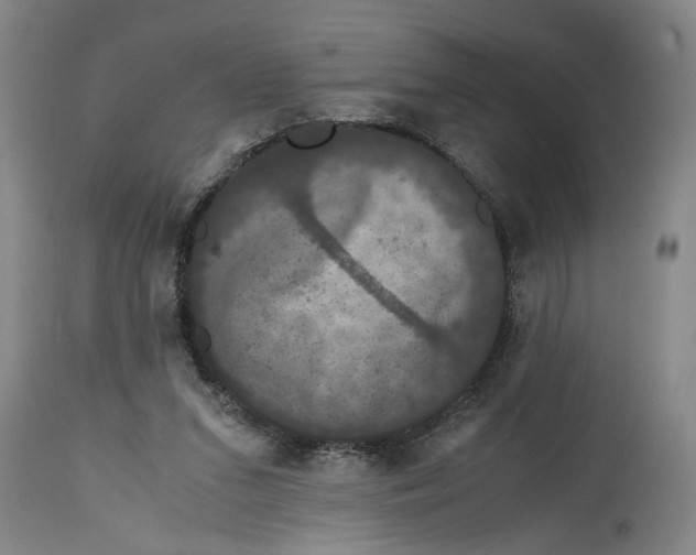 X0000114620207200911171105