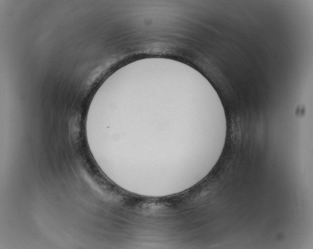 X0000114620208200911171105