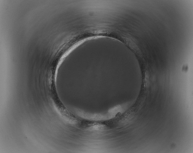 X0000114620210200911171105