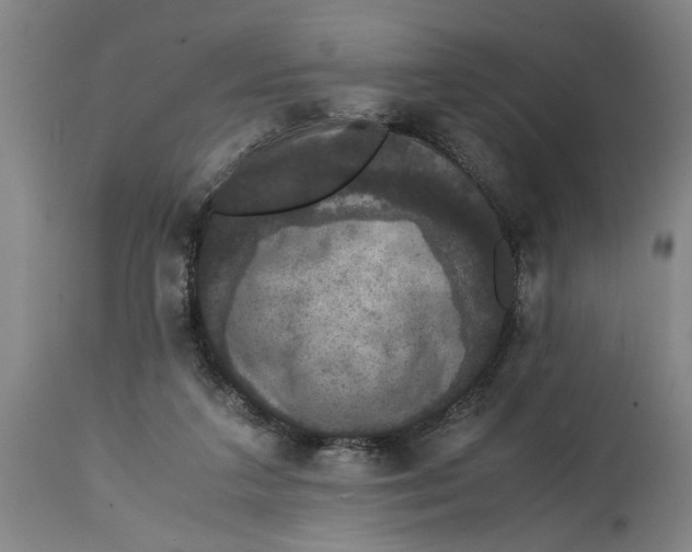 X0000114620211200911171105