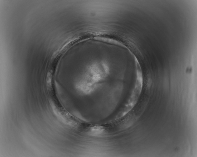 X0000114620214200911171105