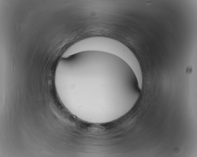 X0000114620215200911171105