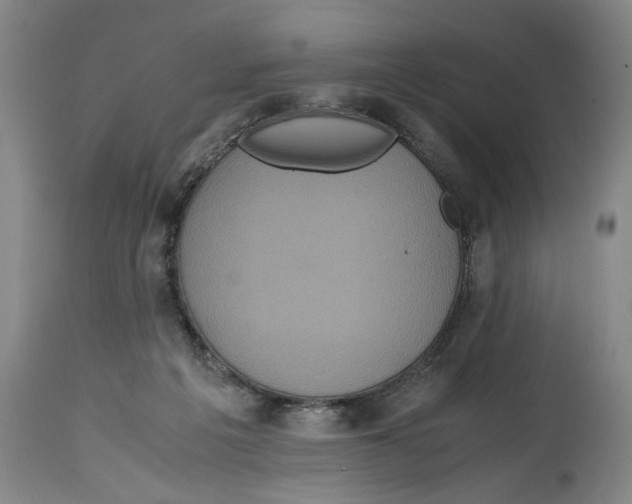 X0000114620217200911171105