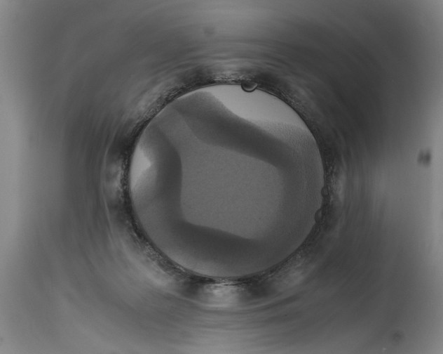 X0000114620219200911171105