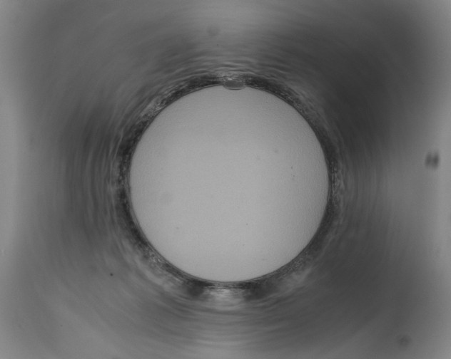 X0000114620221200911171105