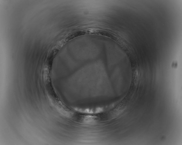 X0000114620222200911171105