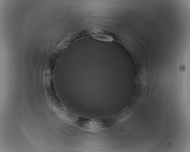 X0000114620223200911171105