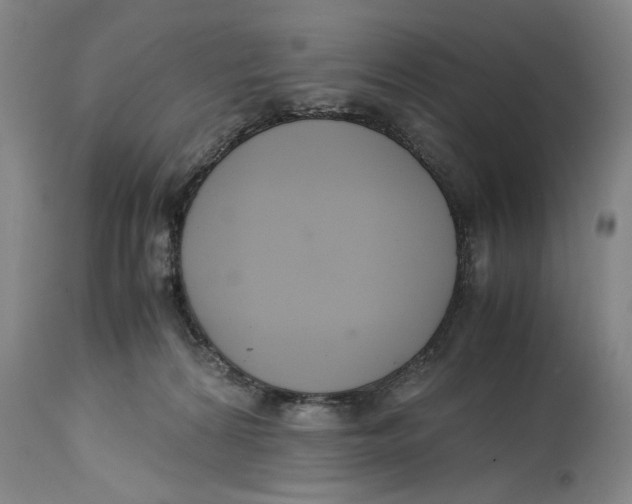 X0000114620224200911171105