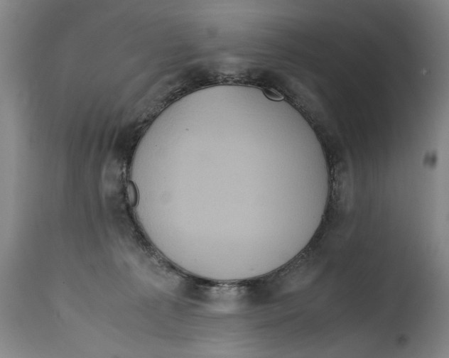 X0000114620225200911171105