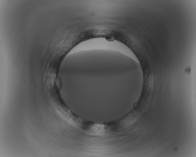 X0000114620227200911171104