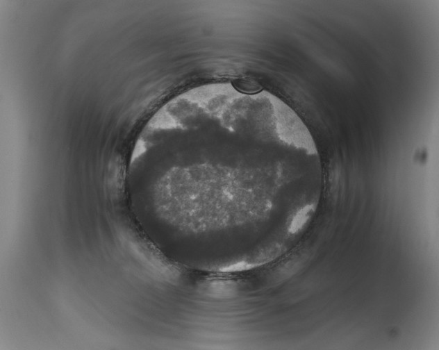 X0000114620228200911171104