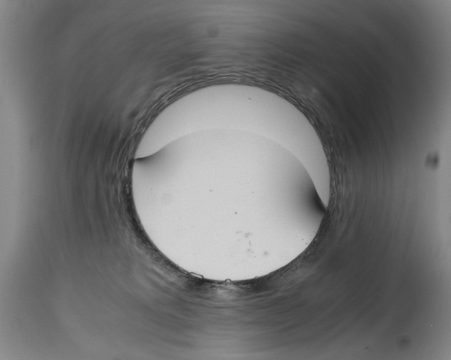 X0000114620229200911171104