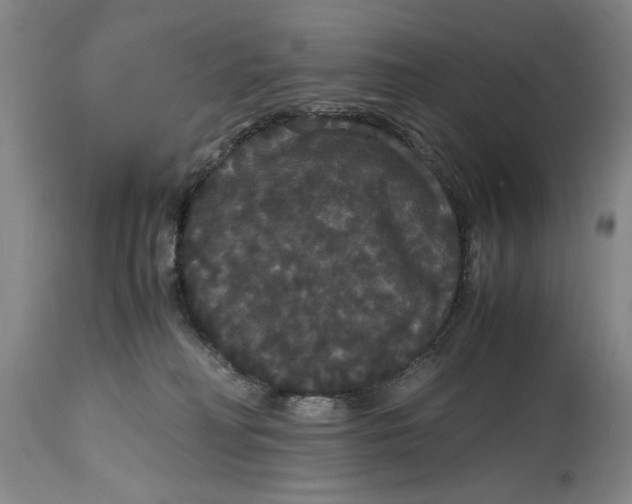 X0000114620230200911171104