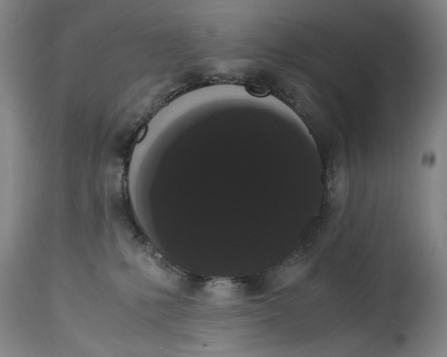 X0000114620231200911171104