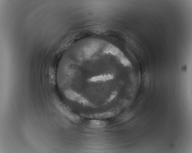 X0000114620234200911171104