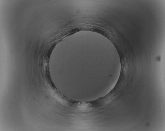 X0000114620235200911171104