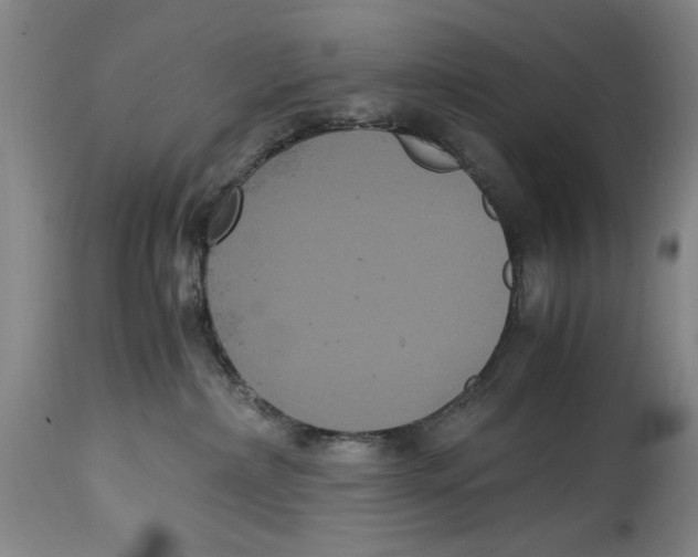 X0000114620236200911171104