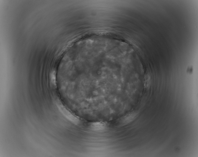 X0000114620238200911171104