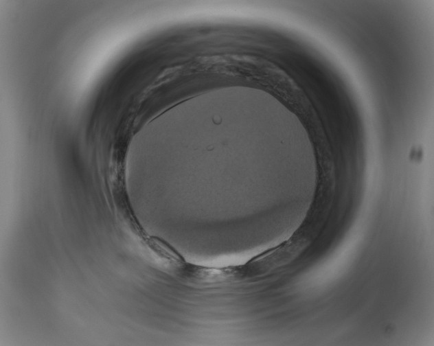 X0000114620239200911171104