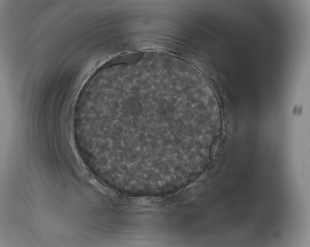 X0000114620241200911171104