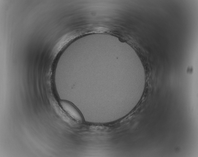 X0000114620242200911171104