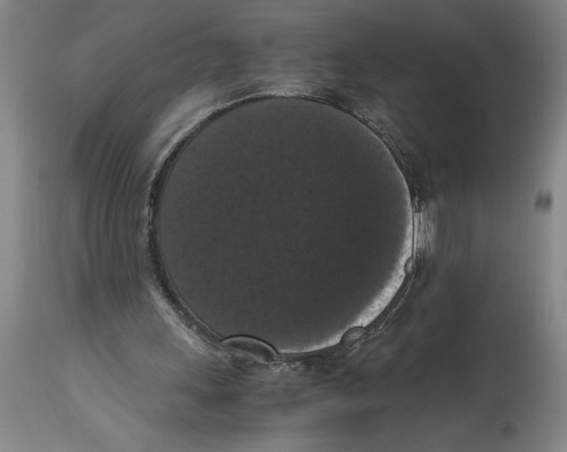 X0000114620243200911171104