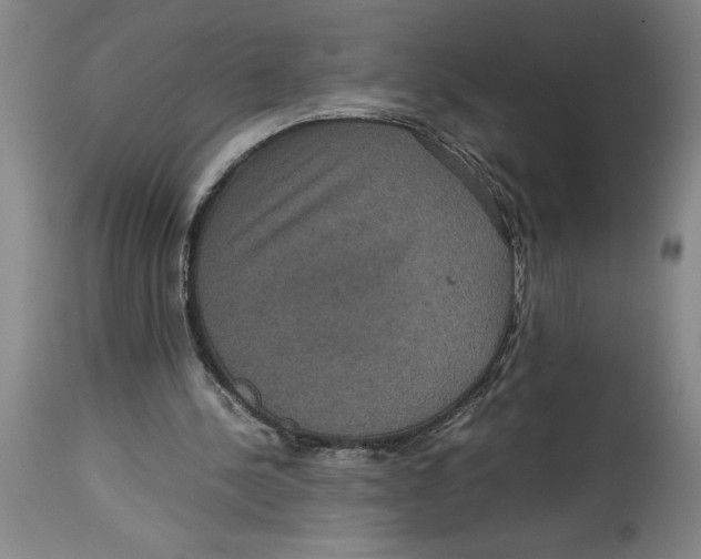 X0000114620244200911171104