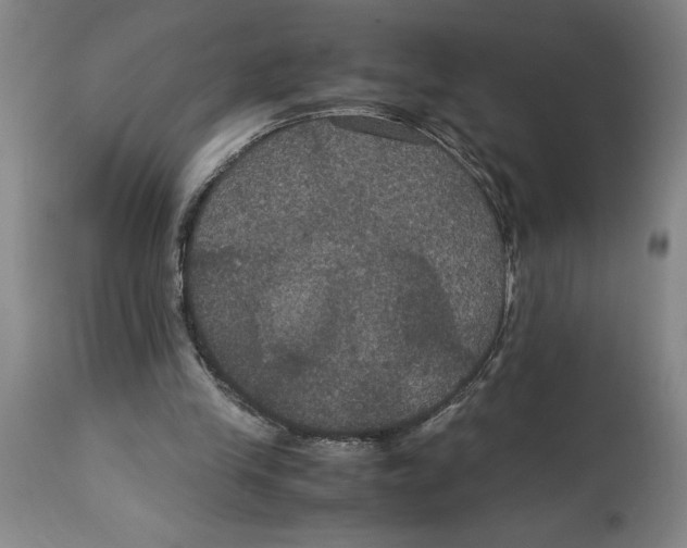 X0000114620245200911171104