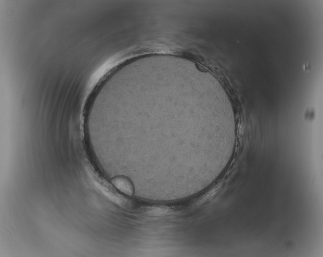 X0000114620246200911171104